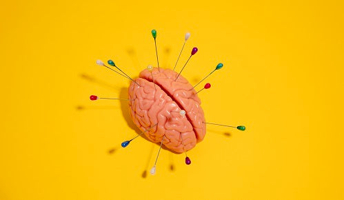 ¿Cómo funciona el eje intestino-cerebro?
