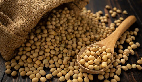 ¿Qué alimentos favorecen la regulación hormonal?