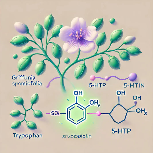 Beneficios de FemmeUp Bienestar sobre el Nervio Vago y la Serotonina