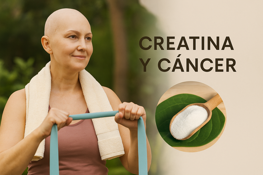 Creatina y cáncer: ¿puede mejorar la fuerza, la fatiga y la calidad de vida en pacientes oncológicos?